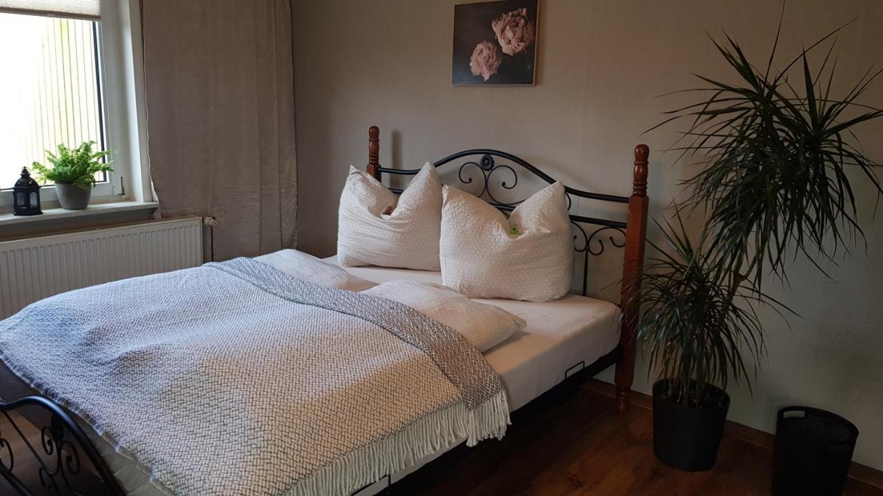 Ferienwohnung Malu Sol Im Harz - Stilvoll, Gemuetlich, Tierfreundlich - Mit Garten Allrode Extérieur photo